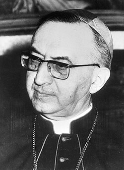 Cardinal Jean Villot